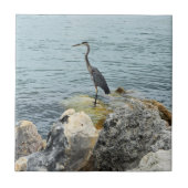 Heron On Rocks At Beach Tegeltje (Voorkant)