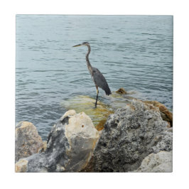Heron On Rocks At Beach Tegeltje