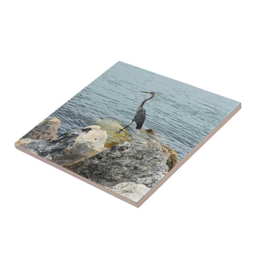 Heron On Rocks At Beach Tegeltje (Zijkant)