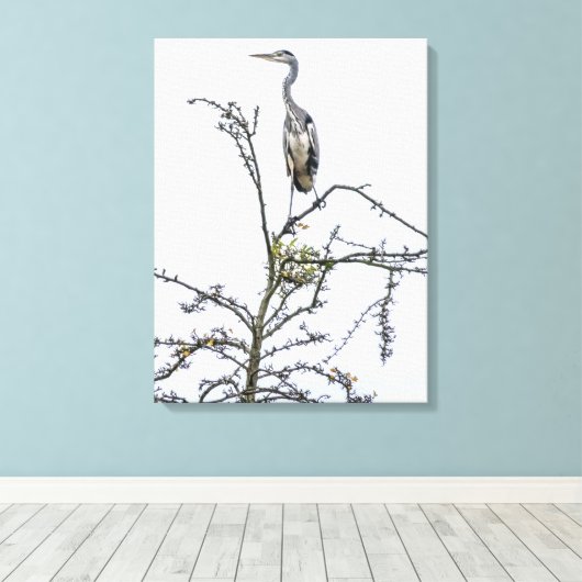 Heron op een boom uitzicht canvas print (Insitu (Houten vloer))