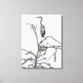 Heron op een boom uitzicht canvas print (Voorkant)