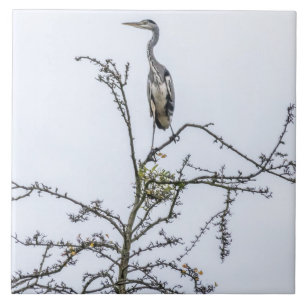 Heron op een boom uitzicht keramische tegel tegeltje