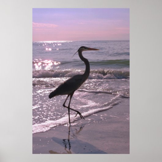Heron op een rol poster (Voorkant)