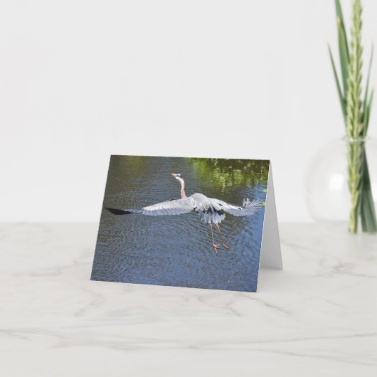 Heron over het water #4 - Blanco briefkaart (Voorkant)