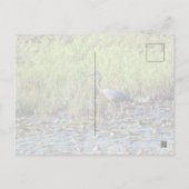Heron P640 Briefkaart (Achterkant)
