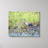 Heron P6450 Canvas Afdruk (Voorkant)