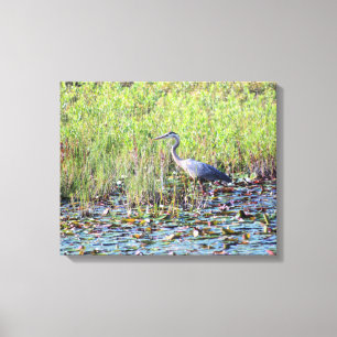 Heron P6450 Canvas Afdruk