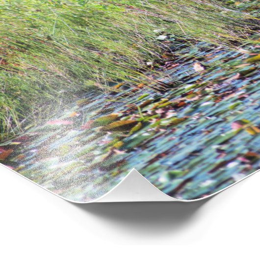 Heron P6450 Foto Afdruk (Hoek)