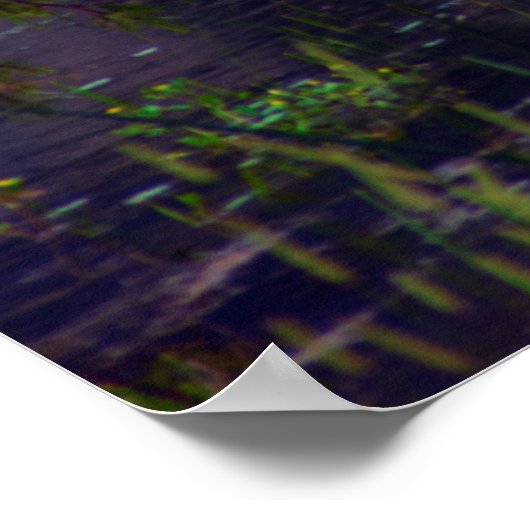 Heron P6987 Poster (Hoek)