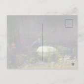 Heron P9687 Briefkaart (Achterkant)