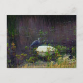 Heron P9687 Briefkaart (Voorkant)