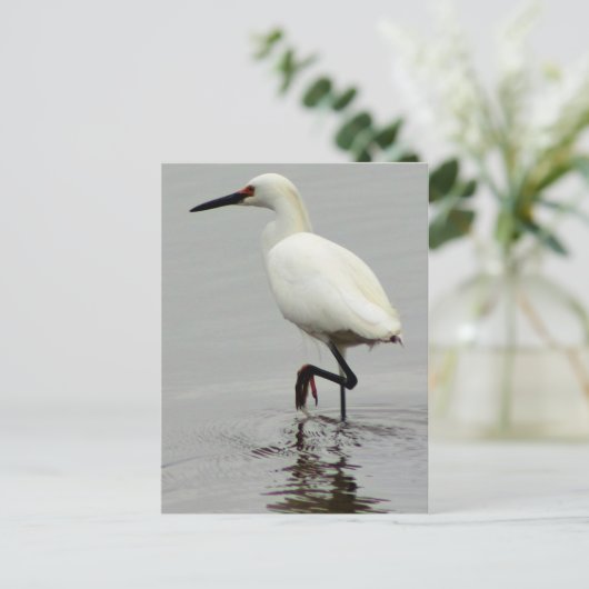 Heron Photo Briefkaart (Staand voorkant)