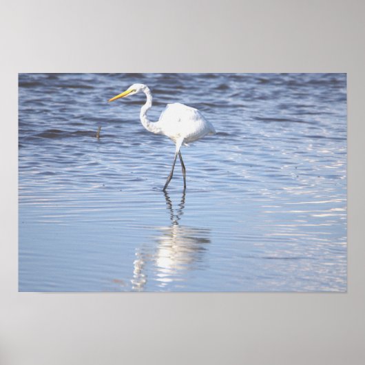 Heron Photo Poster (Voorkant)