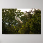 Heron Poster (Voorkant)