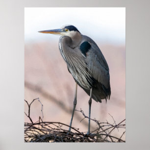Heron Poster