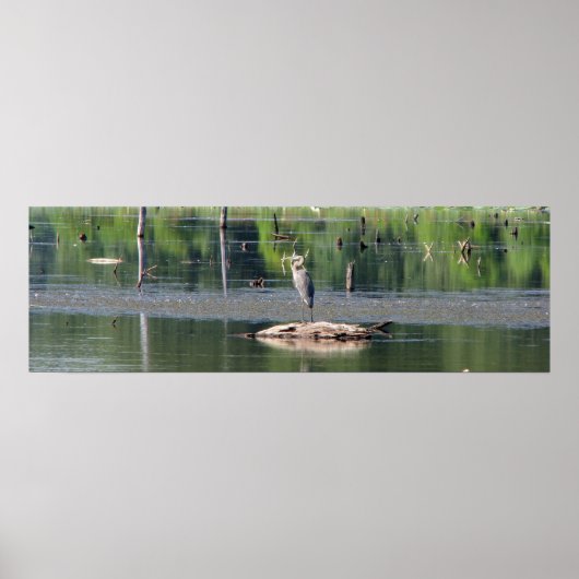 Heron Poster (Voorkant)
