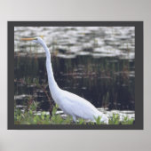 Heron Poster (Voorkant)