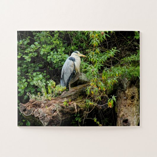 Heron. Roath Park Lake, Cardiff, Wales Legpuzzel (Horizontaal)