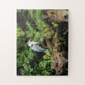 Heron. Roath Park Lake, Cardiff, Wales Legpuzzel (Verticaal)