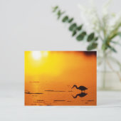 Heron silhouette bij zonsondergang, Florida Briefkaart (Staand voorkant)