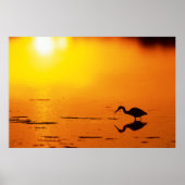 Heron silhouette bij zonsondergang, Florida Poster (Voorkant)