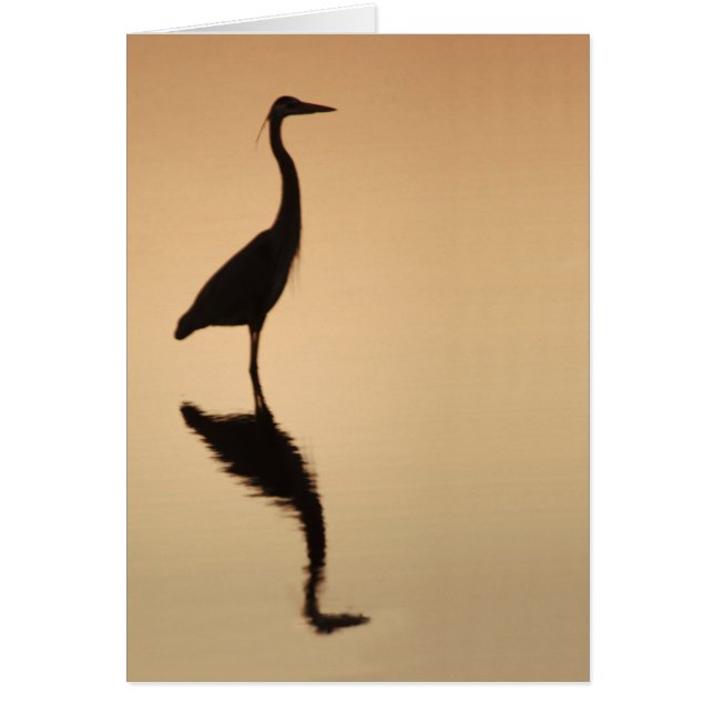 Heron Silouette (Voorkant)