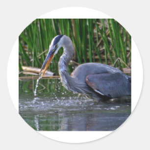 Heron Splash Ronde Sticker