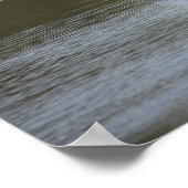 Heron Spreading Wings Foto Poster (Hoek)