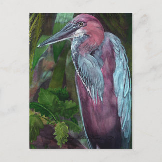 Heron Standing Alone 2 Briefkaart
