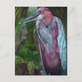 Heron Standing Alone 2 Briefkaart (Voorkant)