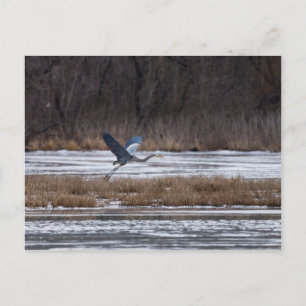 Heron-start Briefkaart