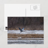 Heron-start Briefkaart (Voorkant / Achterkant)