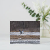 Heron-start Briefkaart (Staand voorkant)