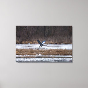 Heron-start Canvas Afdruk