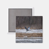 Heron-start Magneet (Voorkant / Achterkant)