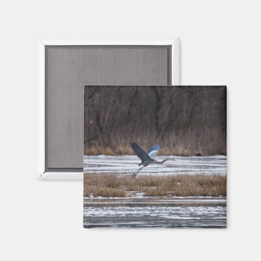 Heron-start Magneet (Voorkant / Achterkant)