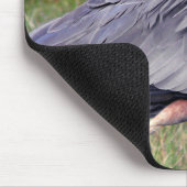 Heron Territory Muismat (Hoek)