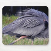 Heron Territory Muismat (Voorkant)