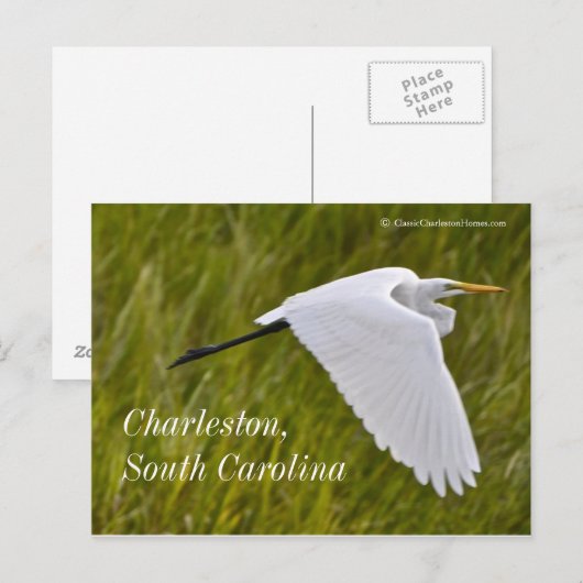 Heron van Charleston Briefkaart (Voorkant / Achterkant)
