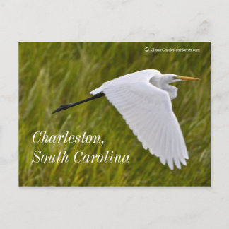 Heron van Charleston Briefkaart