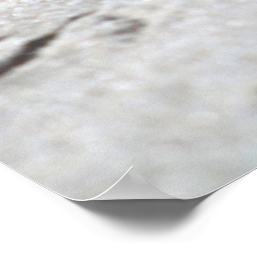 Heron Voetafdrukken in de zand-kleur 16x20 Poster (Hoek)