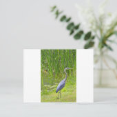 Heron Walk Briefkaart (Staand voorkant)