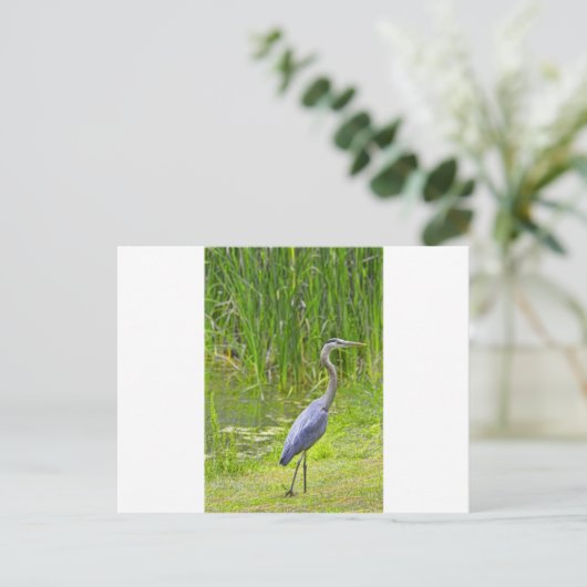Heron Walk Briefkaart (Staand voorkant)