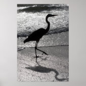 Heron Walking op Shore Poster (Voorkant)