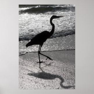 Heron Walking op Shore Poster
