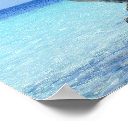 Heron Zee Bird Poster (Hoek)