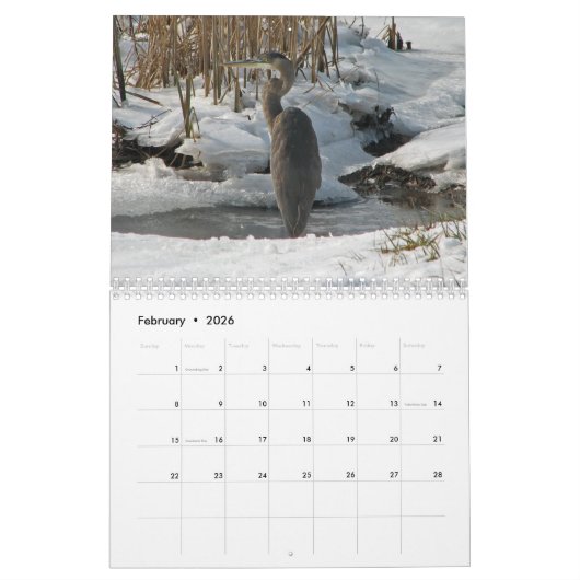 Heronen en groten kalender (Feb 2026)