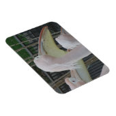 Herons 3"x4" Magnet Magneet (Rechterzijde)