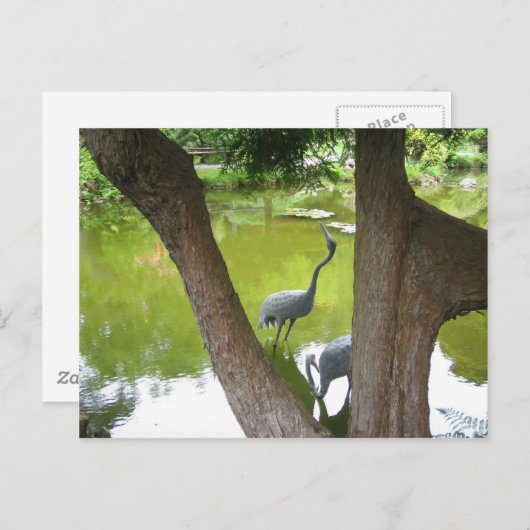 Herons Briefkaart (Voorkant / Achterkant)