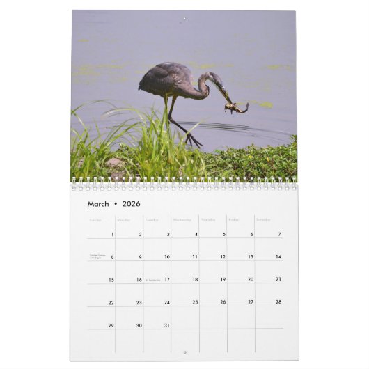 Herons Calendar Kalender (Mar 2026)